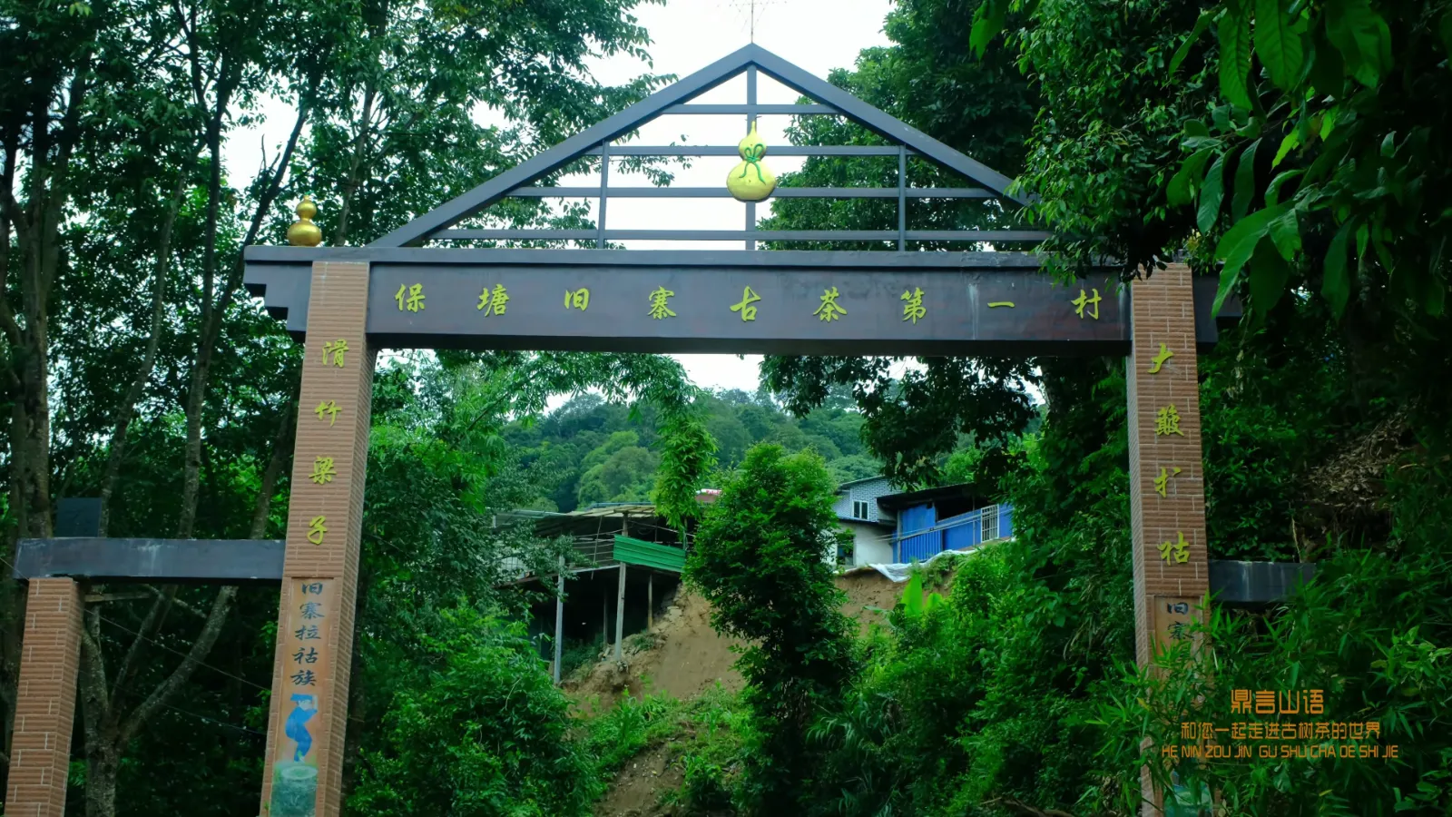 滑竹梁子茶园