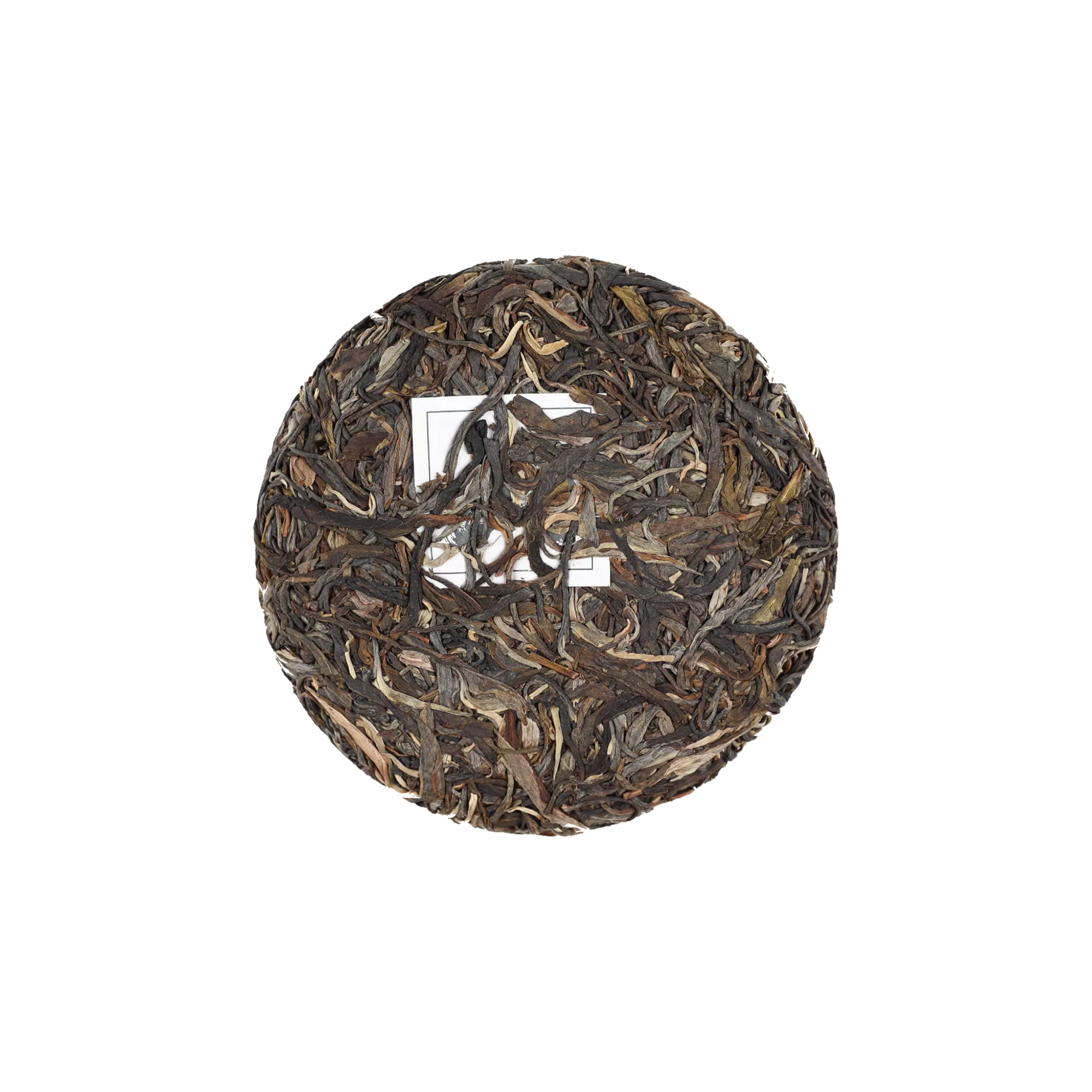 滑竹梁子保塘古树普洱生茶